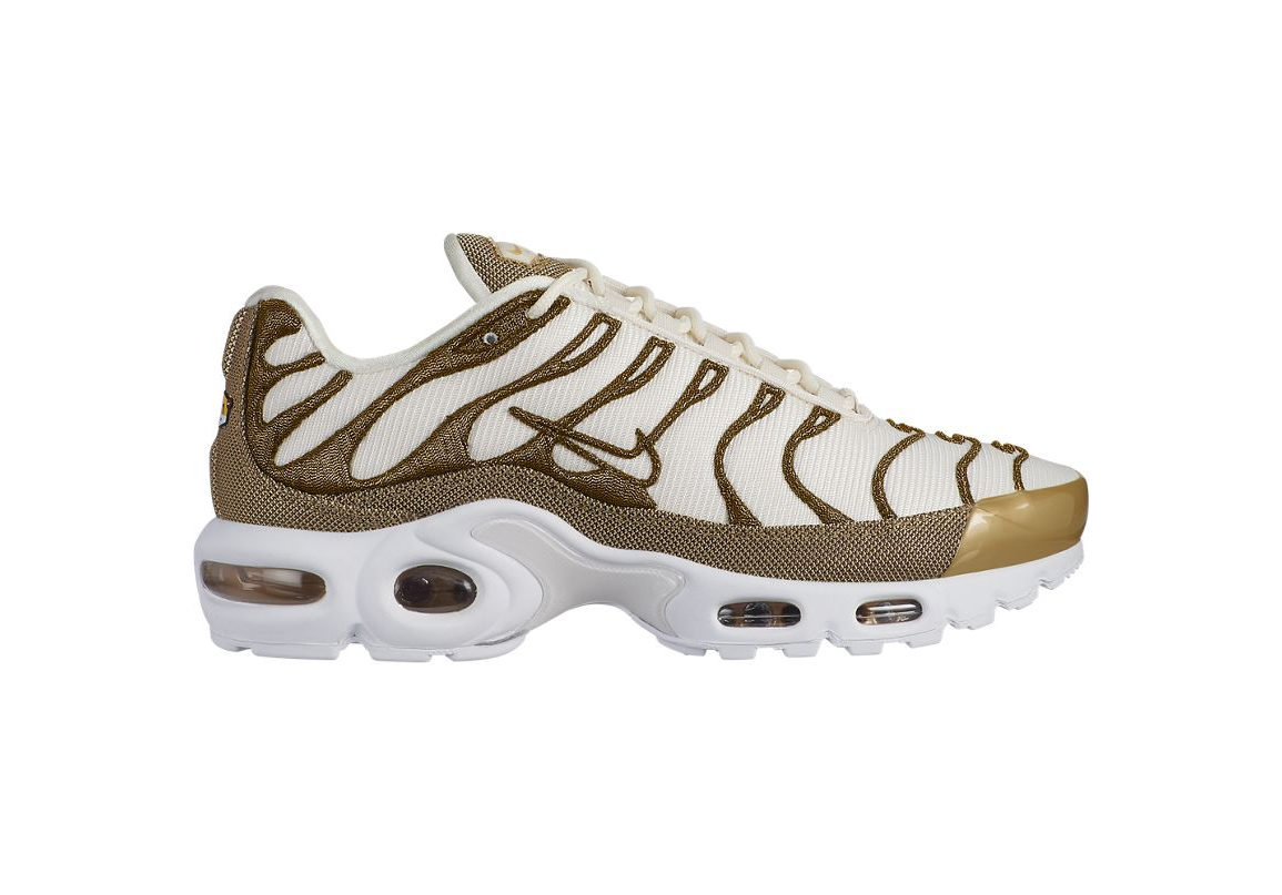 nike air max plus 10.5